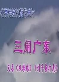 湖南花鼓戏《三闹广东》