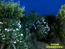 马兰演唱：黄梅戏 《严凤英》精彩唱段