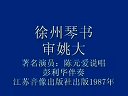 徐州琴书审姚大9下载