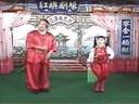 二人转正戏 张四姐临凡 火苗 陆小波 标清下载