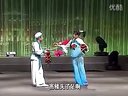 二人转新小马寡妇开店 火苗、张帅-0006下载