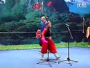 二人转快乐小转星李鹏飞火苗下载