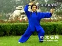 传统杨氏太极拳85式高清视频-王天玉演练