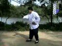 杨氏太极拳85式 第三式 揽雀尾