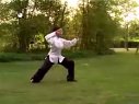 杨氏太极拳85式（全集）