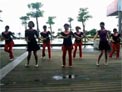 动动广场舞梦中花下载