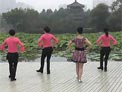 动动广场舞亲爱的姑娘下载