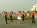 动动广场舞草原舞曲下载