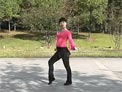 动动广场舞剪不断理还乱下载