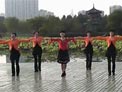 动动广场舞花桥流水下载