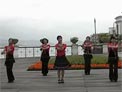 动动广场舞黑骏马下载