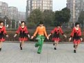 动动广场舞福满农家下载