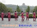 动动广场舞天下的姐妹下载
