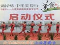 动动广场舞中国范儿下载