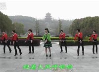 动动广场舞大风歌下载