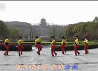 动动广场舞火红的太阳下载