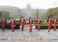 动动广场舞你是我的天籁下载
