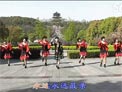 动动广场舞扎西德勒我爱你下载