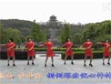 动动广场舞我不是江南style下载