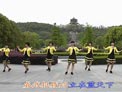 动动广场舞梦中的唐古拉下载