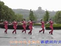 动动广场舞收获爱情下载