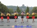 动动广场舞纳木措下载