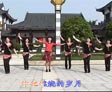 动动广场舞又见山里红下载