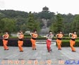 动动广场舞湘西小阿妹下载