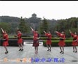 动动广场舞借点情借点爱下载