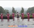 动动广场舞一万个舍不得下载