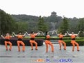 动动广场舞红山果下载