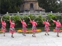 动动广场舞小红花下载