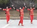 动动广场舞火火的中国下载