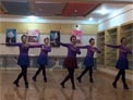美久广场舞习大大爱着彭麻麻下载