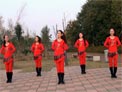 美久广场舞草原一枝花下载