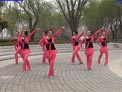 美久广场舞唱春下载