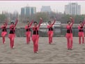 美久广场舞中国范儿下载