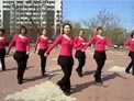 云裳馨悦广场舞最动听的情歌下载