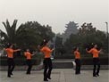 茉莉广场舞八十八佛