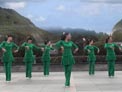 茉莉广场舞亲爱的别让我受伤