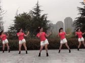 茉莉广场舞我也是醉了