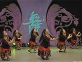 杨艺广场舞我们都是一家人下载