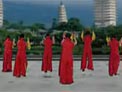 杨艺广场舞怎么Happy下载