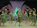 杨艺广场舞醉美家园下载