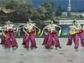 杨艺广场舞喜乐年华下载