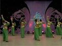 杨艺广场舞莲花下载