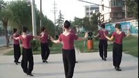 美久广场舞荷塘月色下载