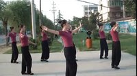 美久广场舞荷塘月色下载