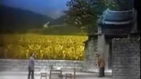 莱芜梆子之三定桩