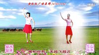 金灿灿广场舞《天l边爱人》异地姐妹合屏版下载